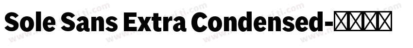Sole Sans Extra Condensed字体转换